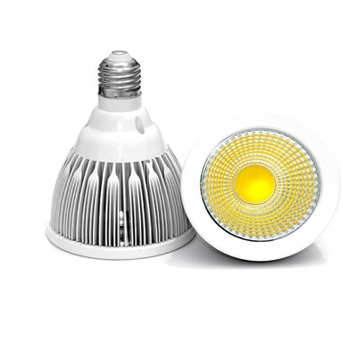 12W COB LED par30